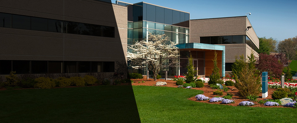 Millbury Landscapers